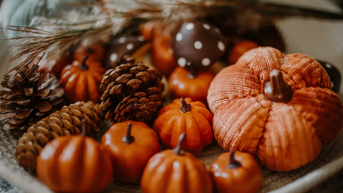 6 Cute Fall and Halloween Products for Anyone Who Does Not Care to Be Spooked, Thank You Very Much