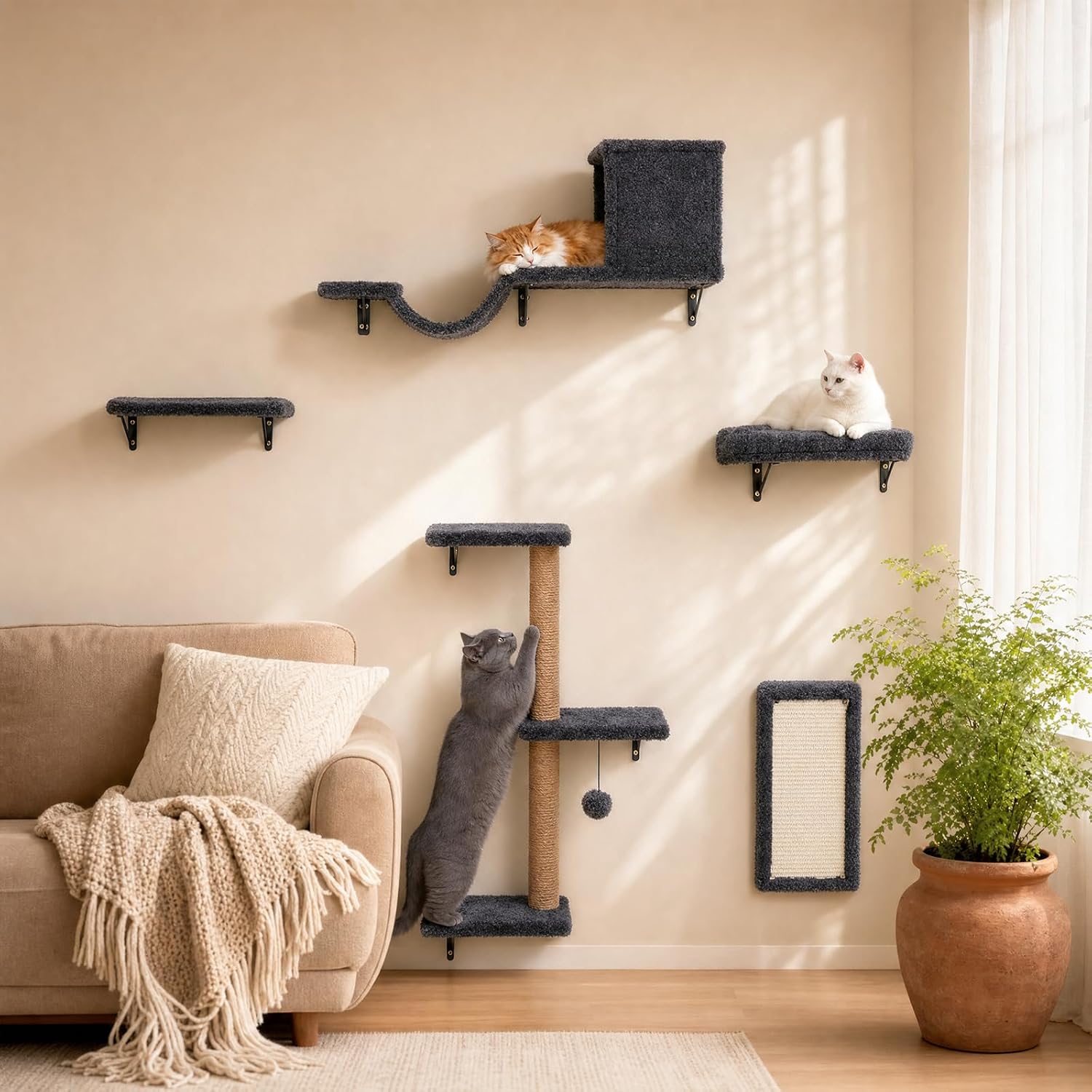 6-Piece Cat Wall Shelf Set Review: Is It Worth It?
